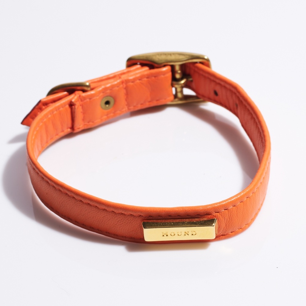 Leather Dog Collar by Hound Collection with Gold Bar Logo